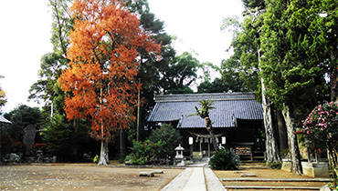 来宮神社