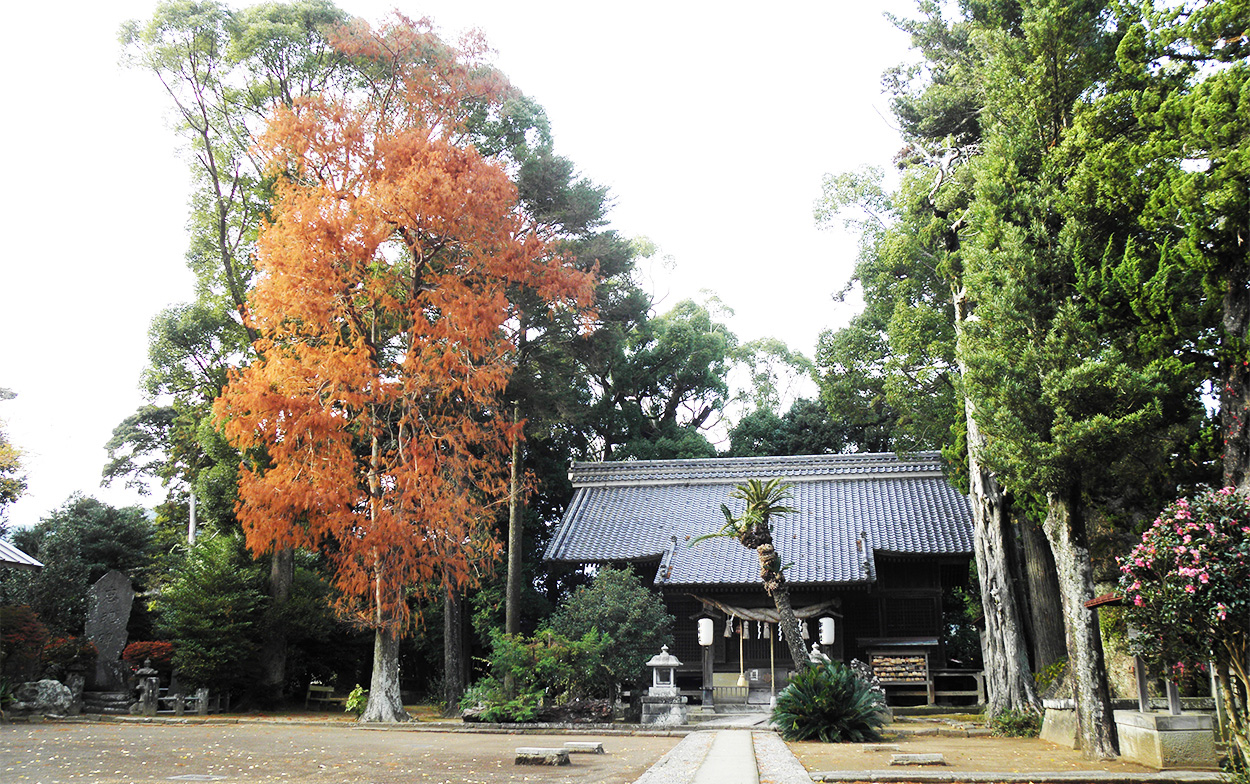 来宮神社