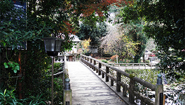湯ケ野温泉