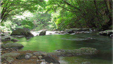 天城からの清流