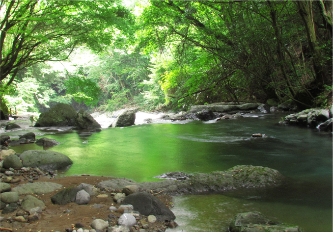 天城からの清流