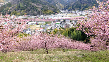 峰温泉桜の丘より